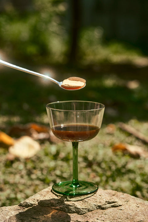 為什麼全球都在說「適應原 Adaptogens」？從 HPA 軸認識身體的壓力調節邏輯